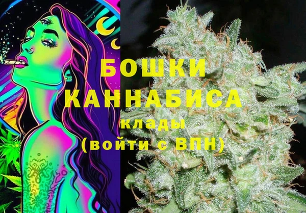 стафф Чегем