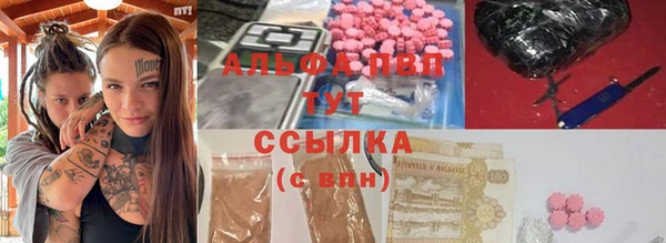 стафф Чегем